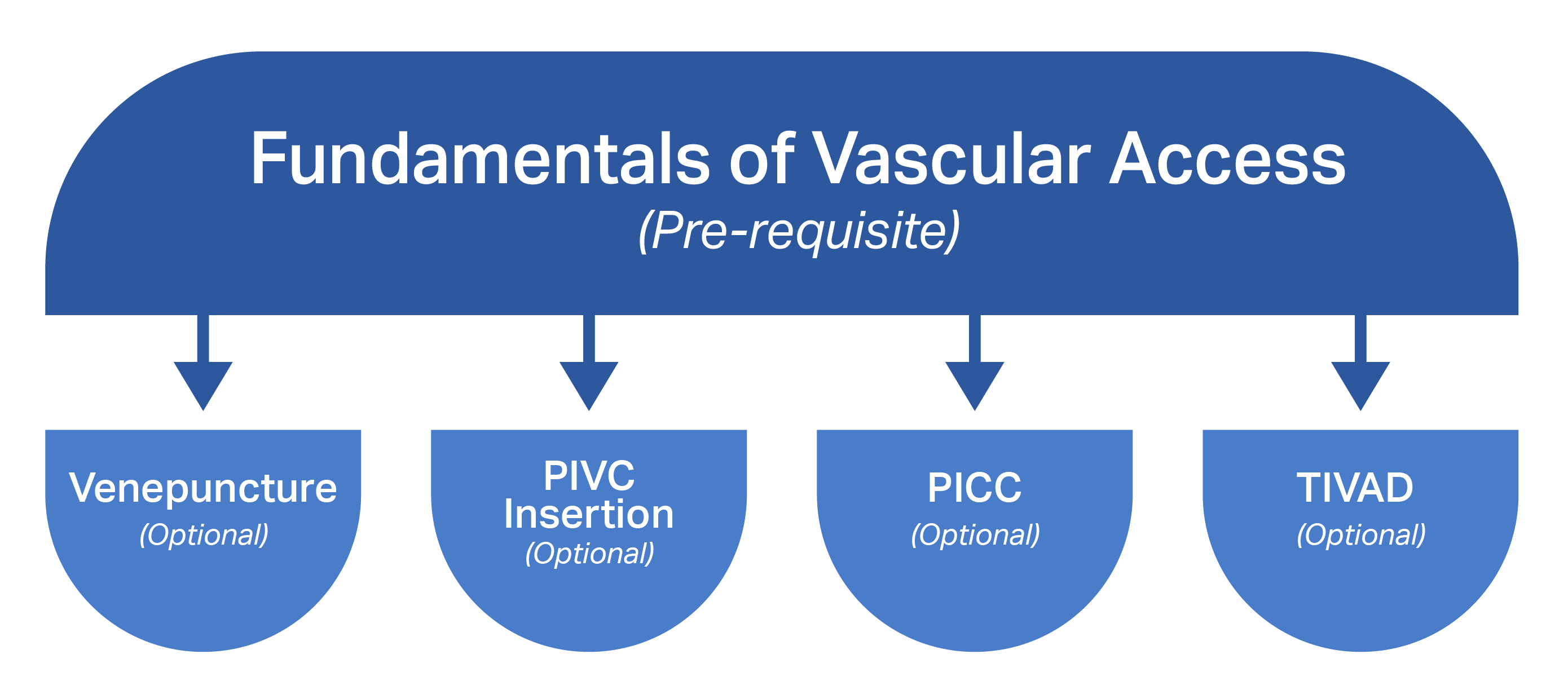 vascular access pathway